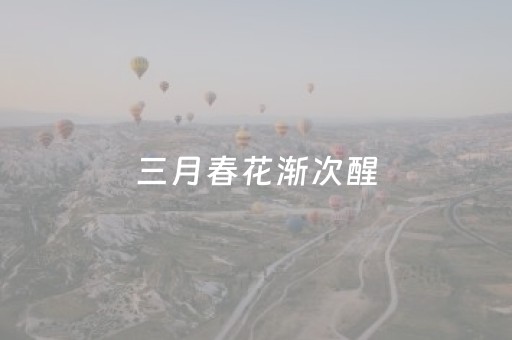 终于发现了“微乐四川麻将插件安装（专用辅牌神器免安装）