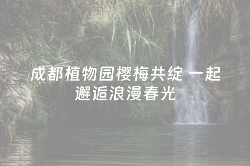 实测分享“闲来十三水怎么拿好牌（助赢神器通用版）