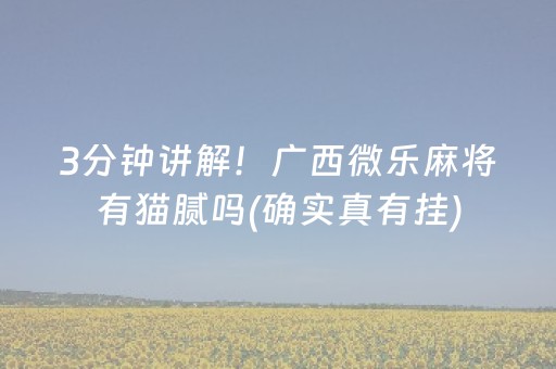 3分钟讲解！广西微乐麻将有猫腻吗(确实真有挂)