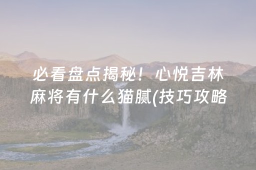 必看盘点揭秘！心悦吉林麻将有什么猫腻(技巧攻略怎样拿好牌)
