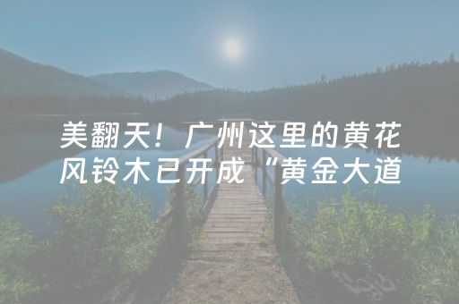教程辅助“开心麻将外铺工具（专用辅牌神器免安装）