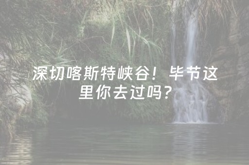 胜率设置方法“手机打牌软件怎么能看清别人的牌（专用辅牌神器免安装）