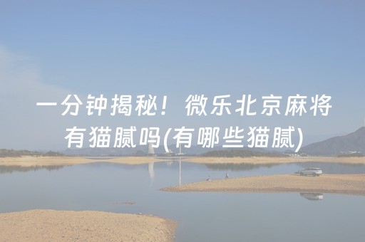 实测教程“边锋斗地主透明器（助赢神器通用版）
