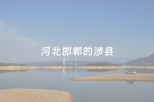 玩家必备教程“手机微乐麻将挂上去（专用辅牌神器免安装）