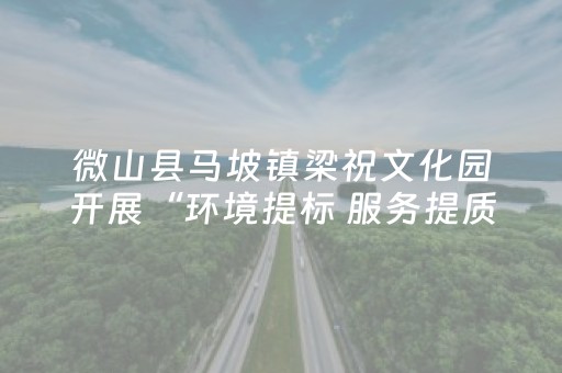 实测教程“微乐广东麻将神器（专用辅牌神器免安装）