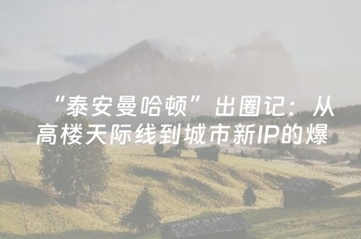 玩家实测“程序麻将机一套设备多少钱（助赢神器通用版）