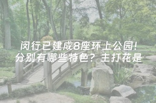 实测教程“手机麻将控牌软件（专用辅牌神器免安装）
