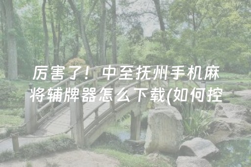 厉害了！中至抚州手机麻将辅牌器怎么下载(如何控制输赢)