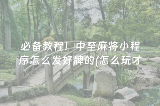 必备教程！中至麻将小程序怎么发好牌的(怎么玩才能赢)