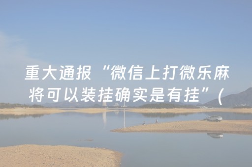 教程辅助“微乐山东麻将自建房输赢规律（助赢神器通用版）