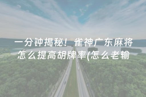 一分钟揭秘！雀神广东麻将怎么提高胡牌率(怎么老输必备神器)