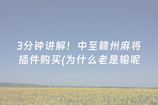 3分钟学会“微乐陕西挖坑专用神器（专用辅牌神器免安装）