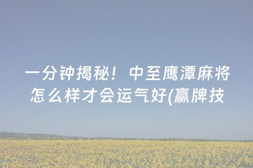 一分钟揭秘！中至鹰潭麻将怎么样才会运气好(赢牌技巧插件安装)