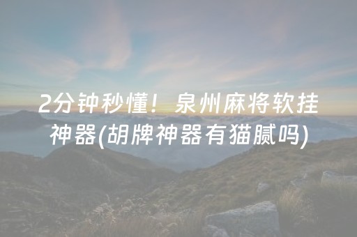 2分钟秒懂！泉州麻将软挂神器(胡牌神器有猫腻吗)