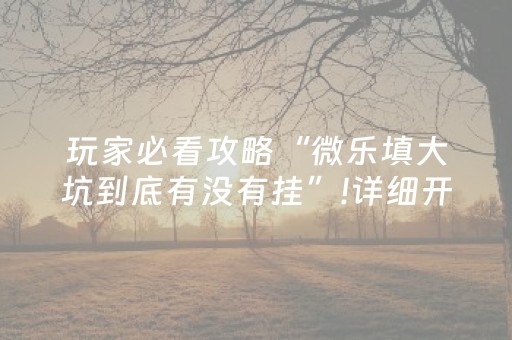 玩家必看攻略“微乐填大坑到底有没有挂”!详细开挂教程-抖音