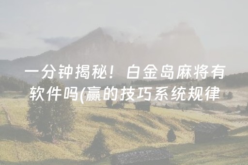 实测教程“套飞针程序多少钱（专用辅牌神器免安装）