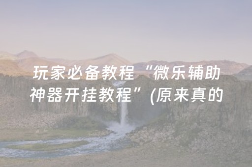 玩家必备教程“微乐辅助神器开挂教程”(原来真的有挂)-抖音