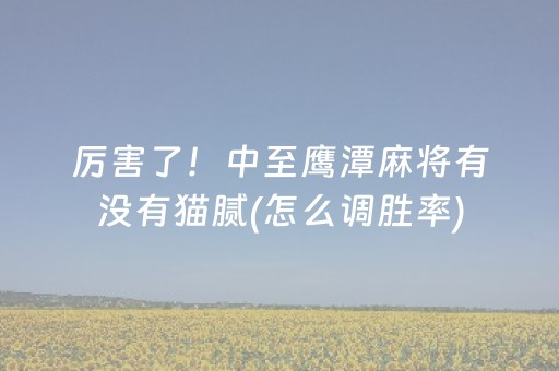 分享辅助“手机金花软挂神器”（详细透视教程）-哔哩哔哩