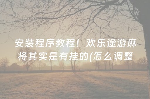 安装程序教程！欢乐途游麻将其实是有挂的(怎么调整胜率)