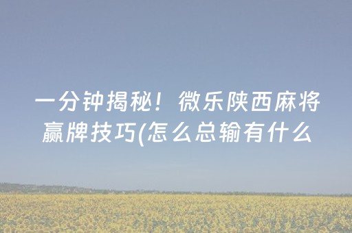 一分钟揭秘！微乐陕西麻将赢牌技巧(怎么总输有什么猫腻)