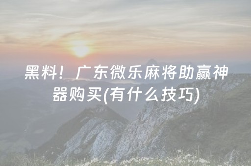 黑料！广东微乐麻将助赢神器购买(有什么技巧)