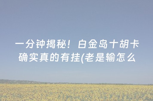 玩家必备教程“家乡大贰辅助器（助赢神器通用版）