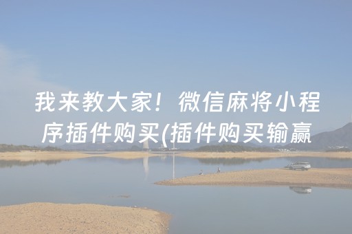 终于发现了“微信麻将机手机控牌器（助赢神器通用版）