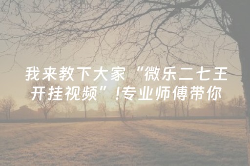 我来教下大家“微乐二七王开挂视频”!专业师傅带你一起了解（详细教程）-抖音