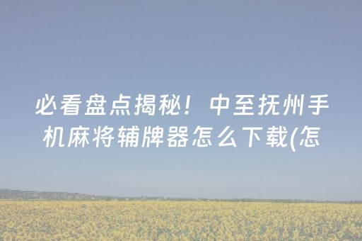 必看盘点揭秘！中至抚州手机麻将辅牌器怎么下载(怎么提高好牌率)