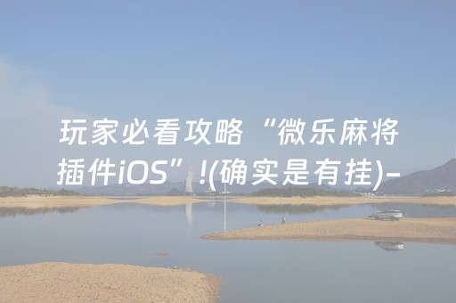 玩家必看攻略“微乐麻将插件iOS”!(确实是有挂)-抖音