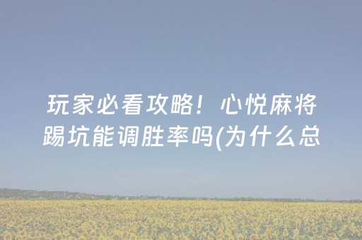 玩家必看攻略！心悦麻将踢坑能调胜率吗(为什么总是输)