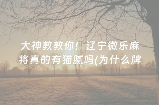 大神教教你！辽宁微乐麻将真的有猫腻吗(为什么牌一直很差)