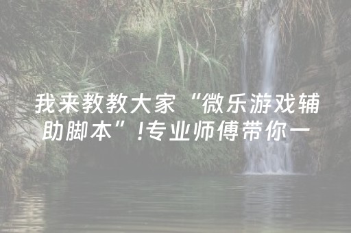 我来教教大家“微乐游戏辅助脚本”!专业师傅带你一起了解（详细教程）-抖音