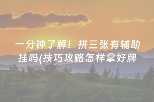 一分钟了解！拼三张有辅助挂吗(技巧攻略怎样拿好牌)