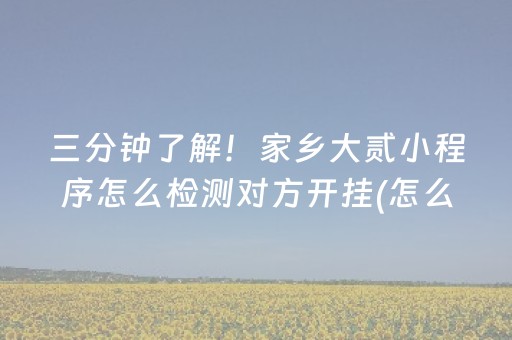 三分钟了解！家乡大贰小程序怎么检测对方开挂(怎么打才能赢)