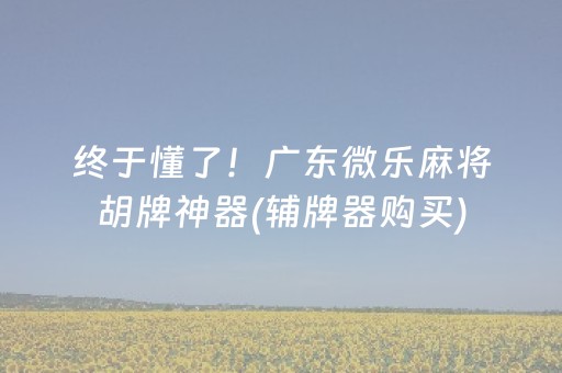 终于懂了！广东微乐麻将胡牌神器(辅牌器购买)