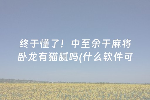 终于发现“途游四川麻将胡牌神器（助赢神器通用版）
