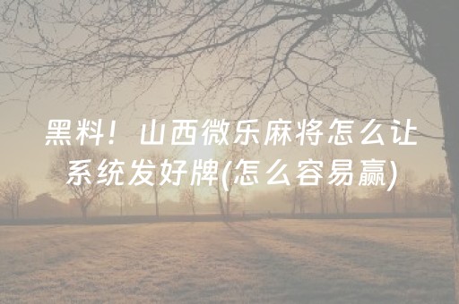 黑料！山西微乐麻将怎么让系统发好牌(怎么容易赢)