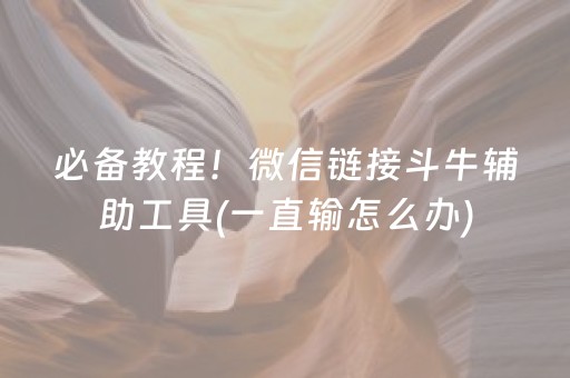 分享辅助“微乐手机麻将助赢神器（专用辅牌神器免安装）
