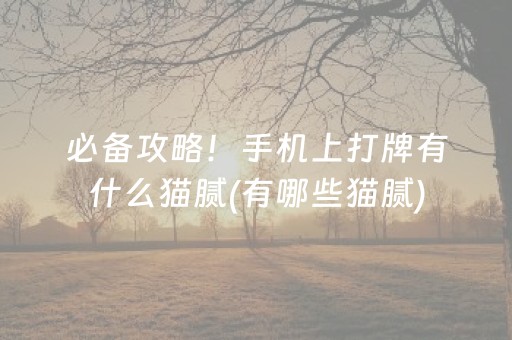 必备攻略！手机上打牌有什么猫腻(有哪些猫腻)