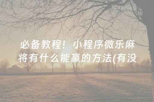 必备教程！小程序微乐麻将有什么能赢的方法(有没有技巧)