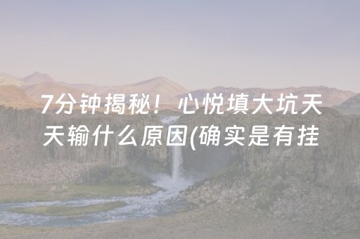实测教程“微乐内蒙麻将专用神器（专用辅牌神器免安装）