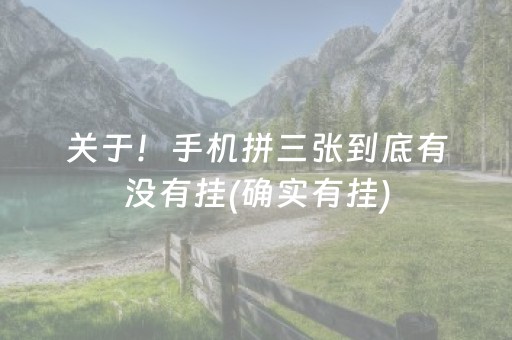 关于！手机拼三张到底有没有挂(确实有挂)