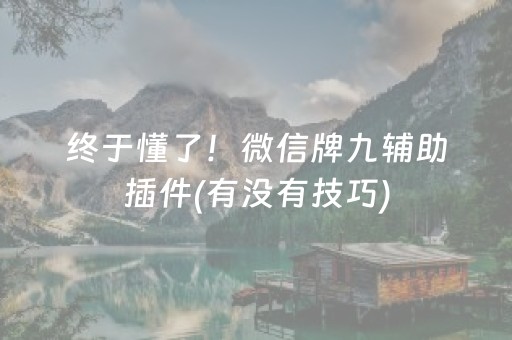 终于懂了！微信牌九辅助插件(有没有技巧)