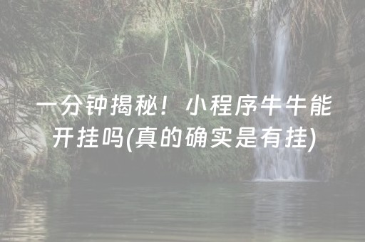 分享辅助“中至小程序辅助器”（详细透视教程）-哔哩哔哩