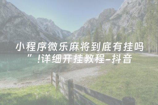 小程序微乐麻将到底有挂吗”!详细开挂教程-抖音