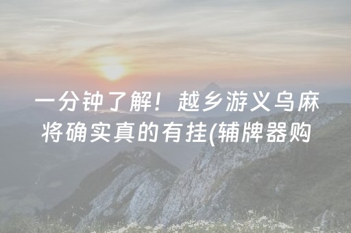 一分钟了解！越乡游义乌麻将确实真的有挂(辅牌器购买)