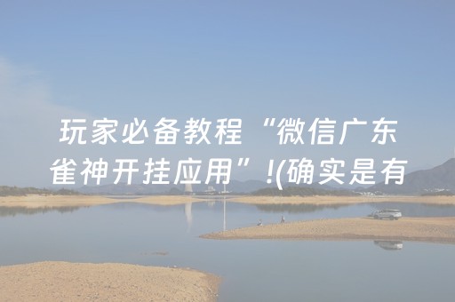 推荐十款“微信小程序财神十三张怎么容易赢”（透明器教程)
