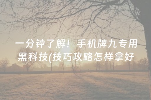 安装程序教程“微信打麻将可以作假吗”（攻略插件)