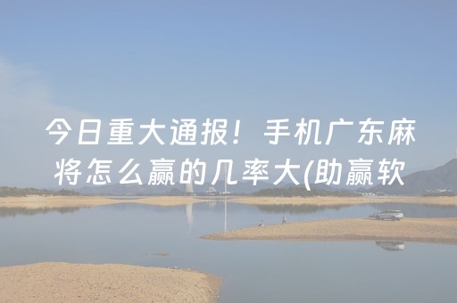 玩家必备“微乐挖坑辅助器通用版”（为什么有人一直赢)